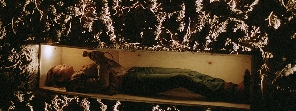 Kill Bill: The Whole Bloody Affair