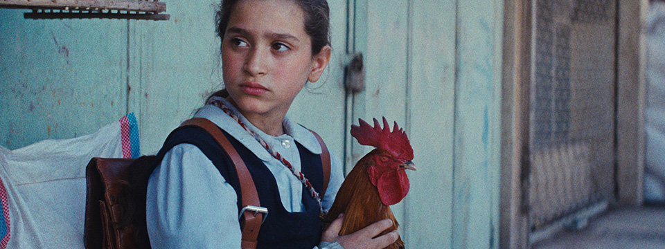 Mamlaket al-qasab (The President's Cake)