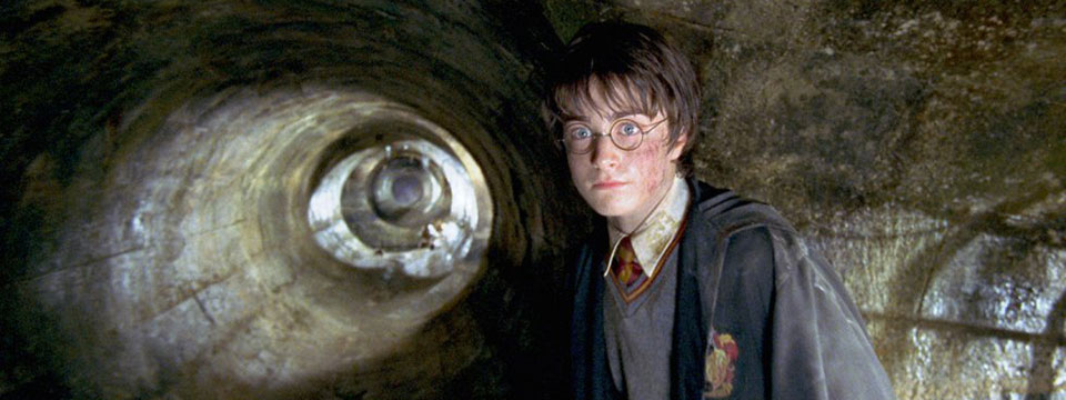 Harry Potter and the Chamber of Secrets