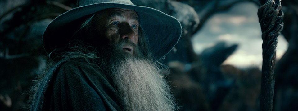 The Hobbit: The Desolation of Smaug