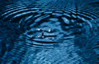 Still 6