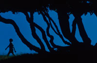 Still 7