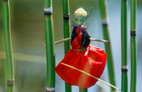 Still 8
